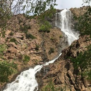 Meet your Posher, Cat